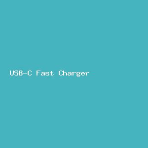 USB-C Fast Charger